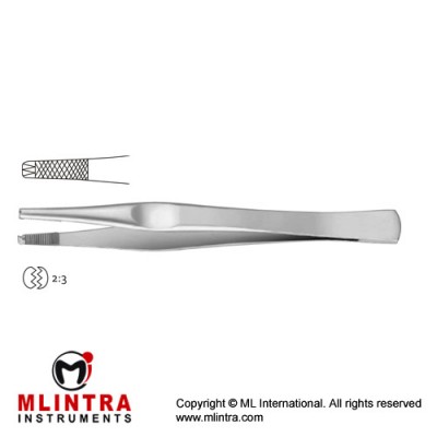 Lane Dissecting Forceps 2 x 3 Teeth Stainless Steel, 17.5 cm - 7" Lane Dissecting Forceps 2 x 3 Teeth Stainless Steel, 17.5 cm - 7"